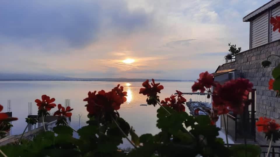 Orion Guest House Sozopol Eksteriør bilde